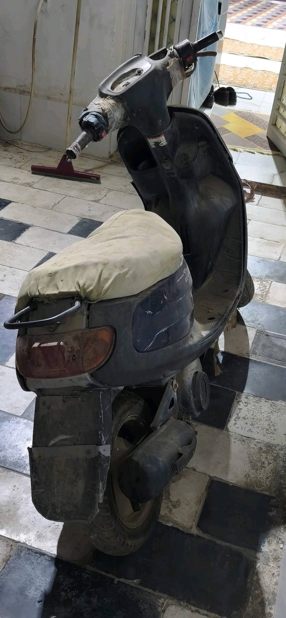 منغولية • مستخدمة • ٤ أشهر