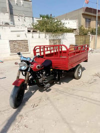 ستوته • دايون • اوراق اصولي