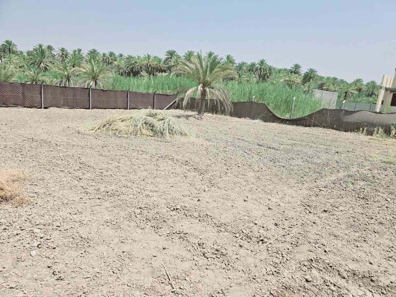 يالله أللهم صل على محمد وآل محمد) 

للبيع قطعة مساحة 625 متر 

طابو زراعي سند 25  تحويل أقرار محكمة 

تتوفر كافة الخدمات تبعد عن التبليط 100 متر 

تصلح سكن 

العنوان كربلاء الحسينية مصطفئ خان وتدخل بشارع تبليط 

كيلو ونص والها مدخل ثاني من شارع بغداد 

تبعد عن شارع بغداد 2 كيلو وعن شارع الحسينية كيلو ونص 

وعن مركز المدينة 9 كيلو 

#السعر    70  مليون 

للاستفسار اكثر اتصلوا بالأرقام التالية 

(  ***********  )(  ***********  )

ابو فاطمة او مراجعة مكتب 🏢 النافعي للعقارات -كربلاء 
مكتب النافعي للعقارات كربلاء النافعي للعقار  
عنوان المكتب شارع الحسينية قرب جسر 🌉 الابراهيمية مقابل شارع عون عل سايد الخدمي @إشارة 

(  ***********  )( *********** )
