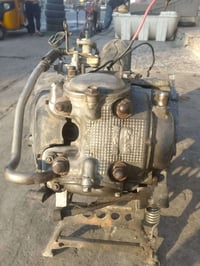 ثعلب • صوته ناعم • تاير جلاتين