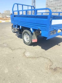 ستوته • موديل ١٢ • اوراق اصوليه