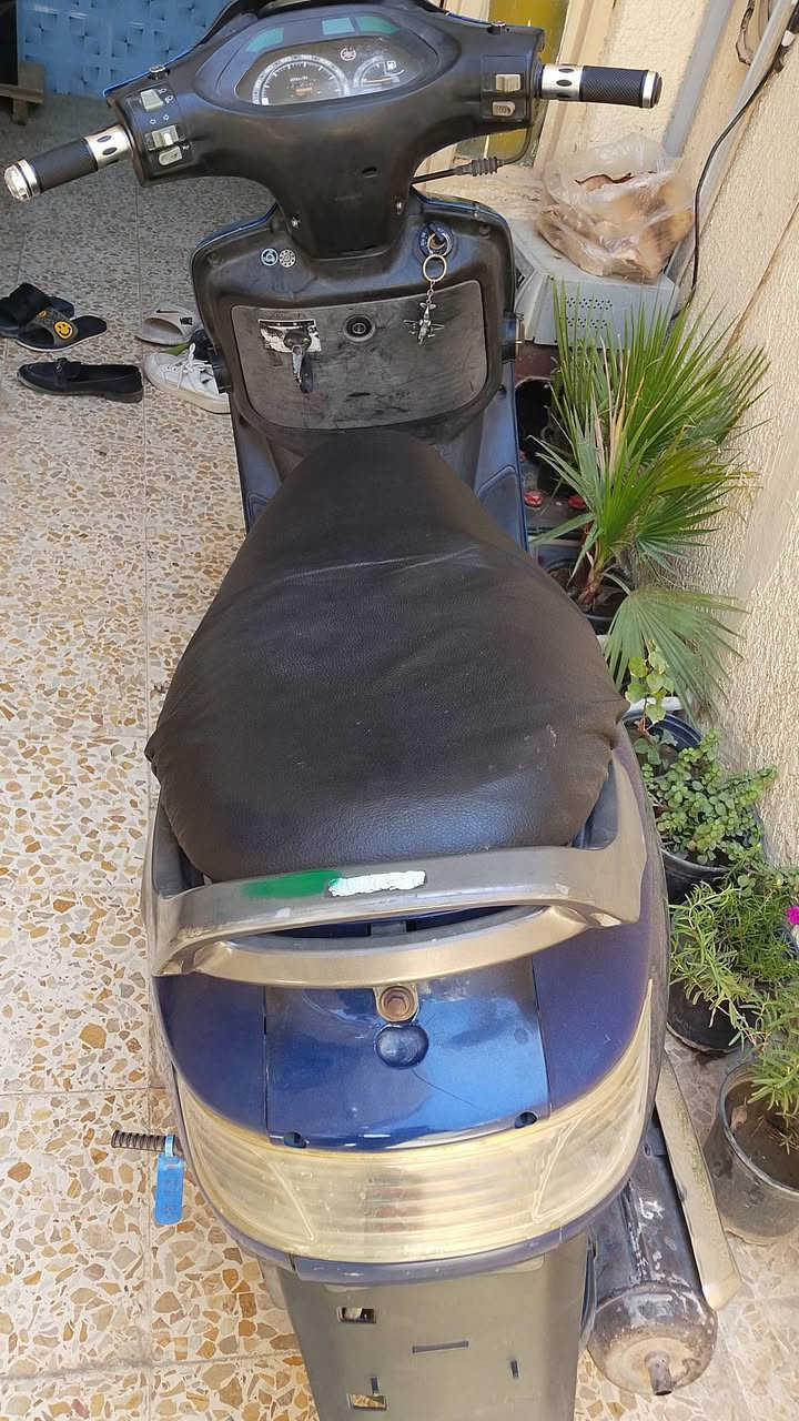 سلام عليكم فراشه للبيع دراجه نثيه سودات كله ختم واحد شوفت عينك نكره سلف دراجه كهربائيات كله شغاله دراجه تخبل 
المكان النجف كوفه للاستفسار ***********
