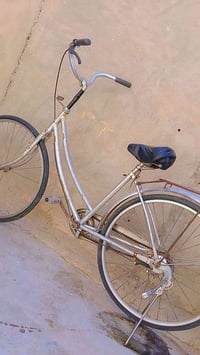 بيسكل بطه • حجم ٢٦