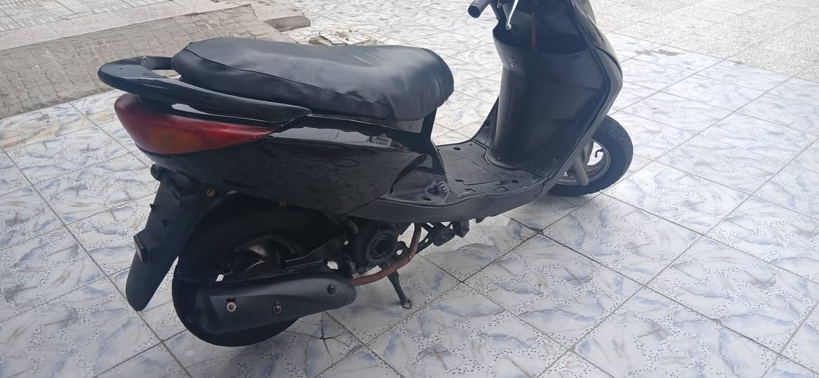 بغبغاء • مجفته • جاهزه
