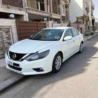 التيما ٢٠١٧ • أصفر • أربيل