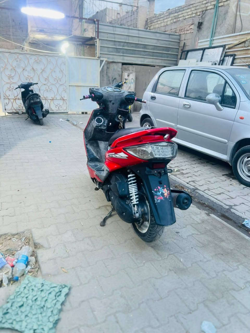 سكنس فحل • احمر طماطة • كسر