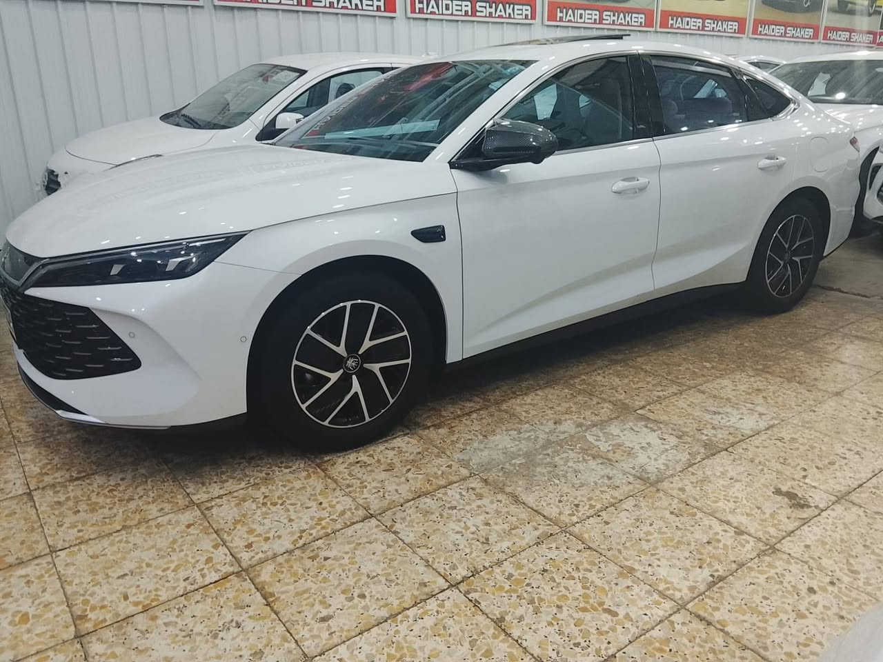Qin L 2025 فول الفول السعر بلاااااش
ماشيه 5 الف فقط بوضع الزيرو كفاله عامه 

السعر 23 وبيها مجال مكاني حي القادسية بغداد 

اذا مو شراي لا تتصل الله يخليك لان معندي مجال اشرح للكل 

***********

***********

***********
