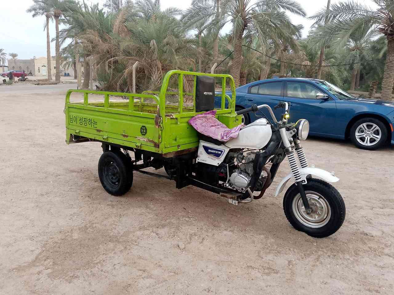 ستوته دايون • موديل ٢٠١٥ • أوراق ضايعة