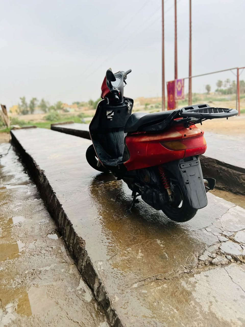فراشة • جاهزة • مكينة شرط