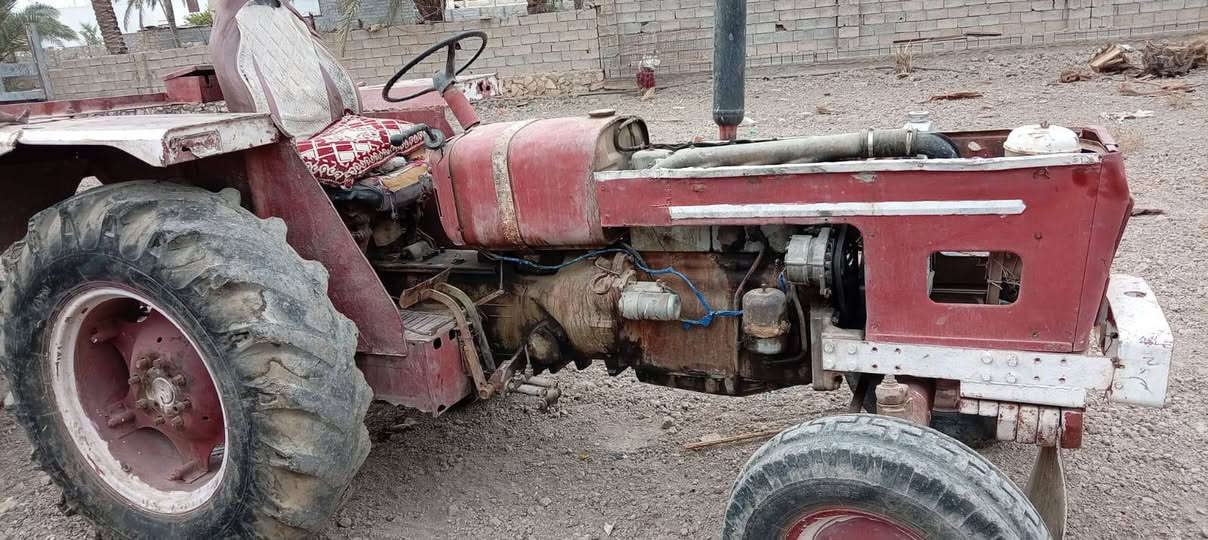 عنتر • الرمادي