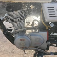 تايكر • ٢٠٢١ • بدون أوراق