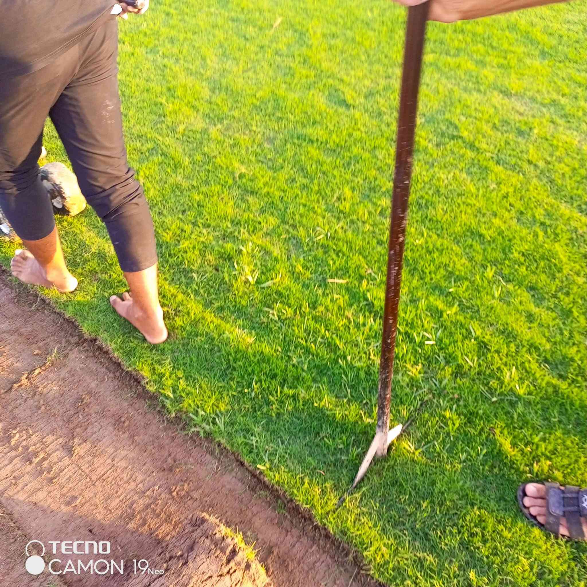 ثيل طبيعي يتوفر كافة أنواع الثيل هندي أمريكي فرنسي أنكليزي 🌳🌳🌳🌳ونجهز الدوائر الحكوميه والمباني 🏫🏫🏢🏢ونجهز النوادي الرياضيه والملاعب 🏟️🏟️🛥️⛷️🏂🏂ونجهز المنتزهات العامة للترتيب التقني والمهني والمنازل 🏡🏡🏡🏫🏡يوجد كادر متخصص في العمل 🧑‍🔧🧑‍🔧🧑‍🔧يوجد خدمة توصيل لجميع المحافظات العراق 🚒🚒🚒الاتصال على الرقم أو واتساب ٠ حسب المكان والكميه  *********** بأسعار مناسبه وتنافسيه🌳🌳🌳، ***********

نص مكتوب في الصور:
- TECNO
- CAMON 19 Neo
- TECNO CAMON 19 Neo