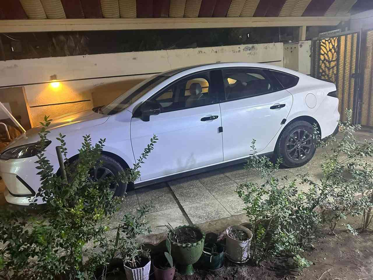 سيل 5 • ٢٠٢٥ • رقم بغداد