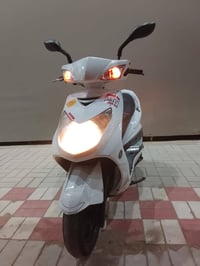 سكنس فحل • ١٩ الف • اوراق