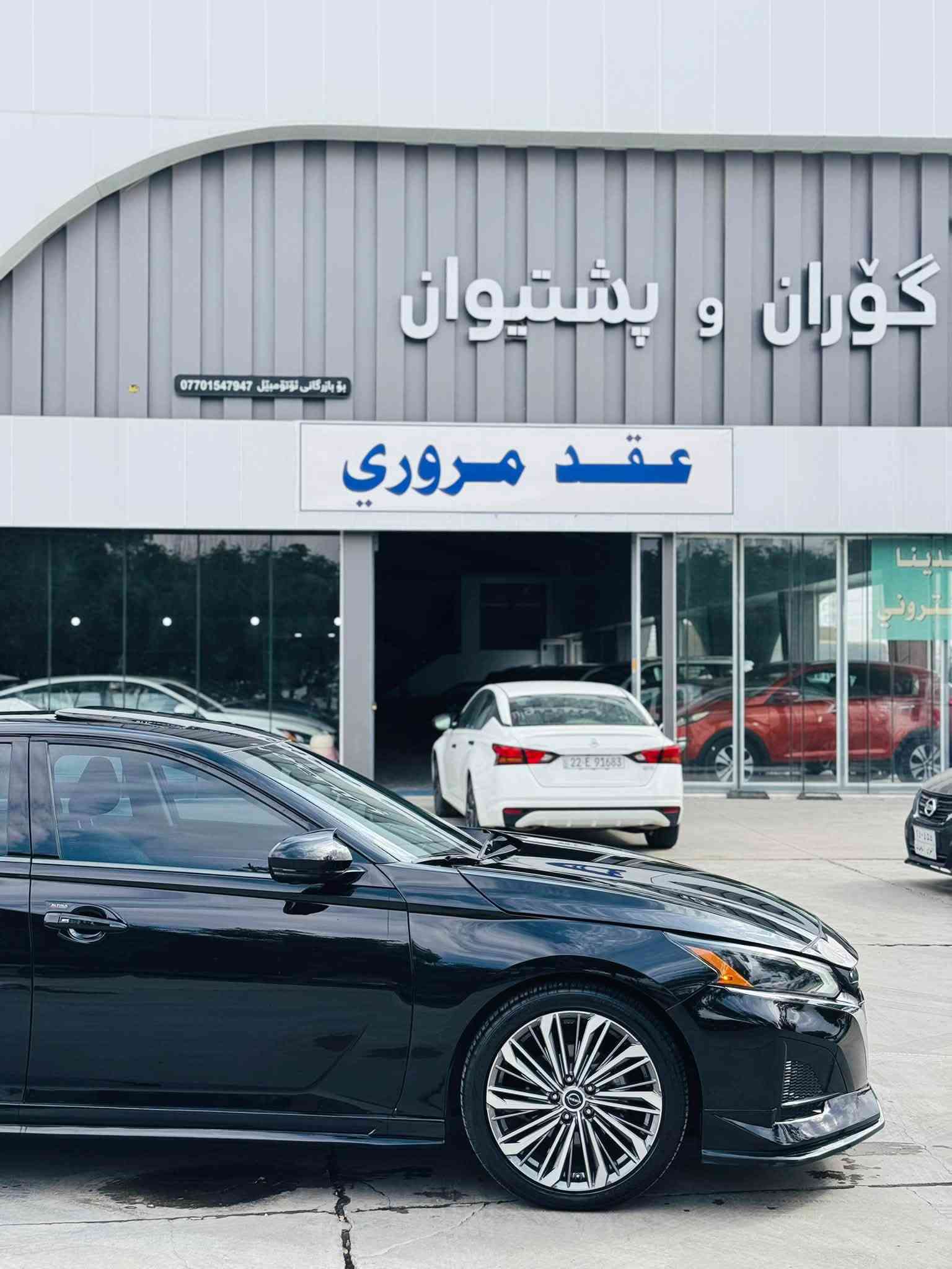 التيما SL • ٢٠٢٥ • رقم اربيل
