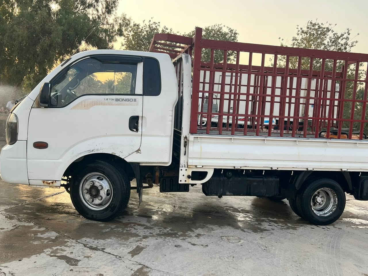 فحل • ٢٠١٢ • رقم كربلاء