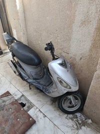 ماكس منغولي • بوشه • ٤٩