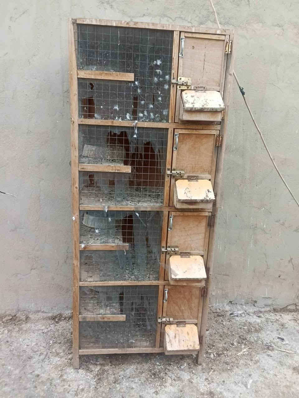 خانات طيور • تاجي ابو عظام • كبيرة وصغيرة