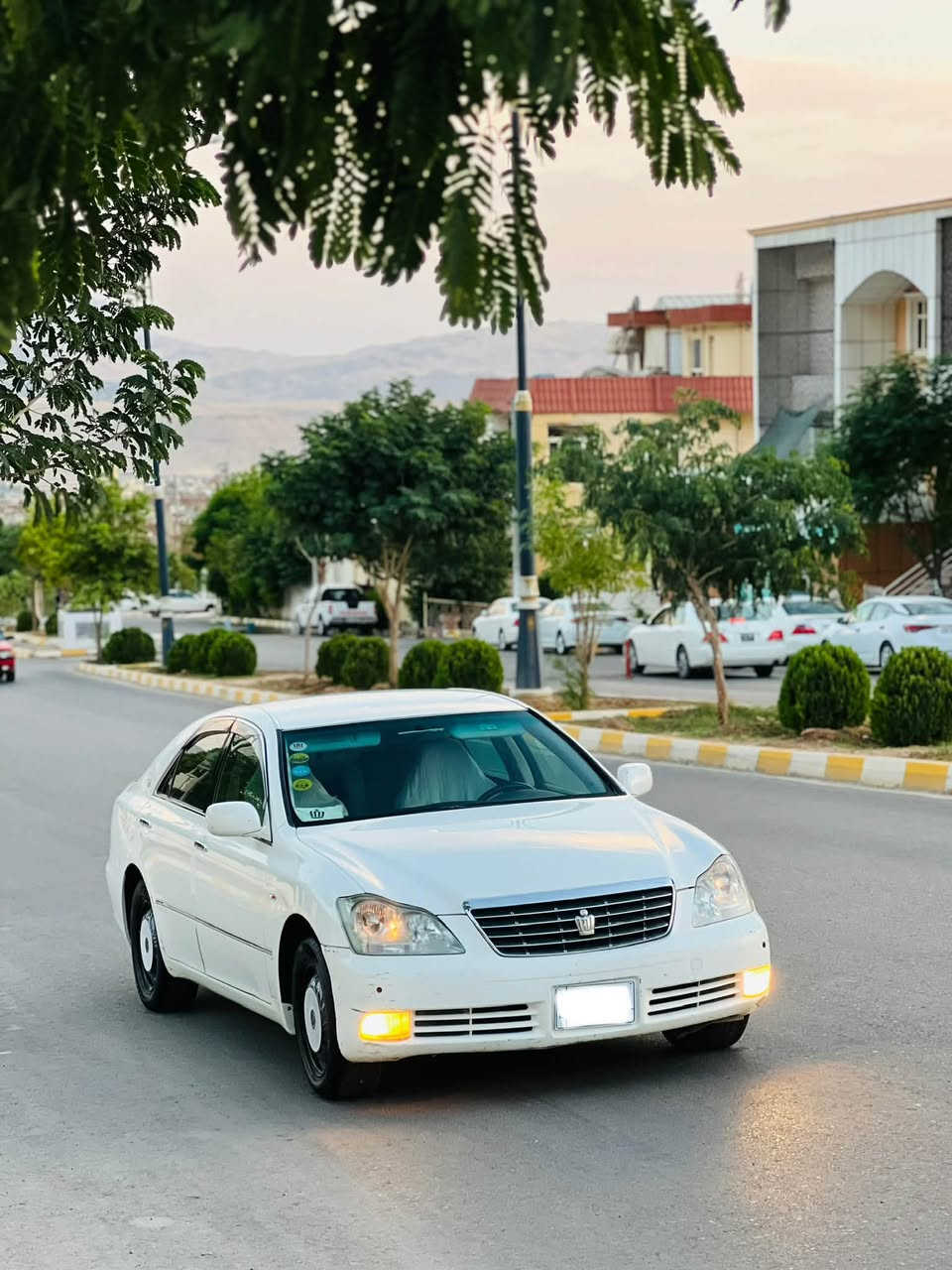 شاهينه براوه
كامل مه سروف 
بئچالو شوخت 
ته بريد ساردو گه رم 
سه ياره كه هه تاحه زبكه ى جوانوپاكه 
وه ك ره سمه كان جوان نه بو گله ى بكه 
هيچ مه سروفئكى نيه 
(كه ڤه ر سه قف شانسى به شه رت)
نرخ ٤٢گلا  
***********
