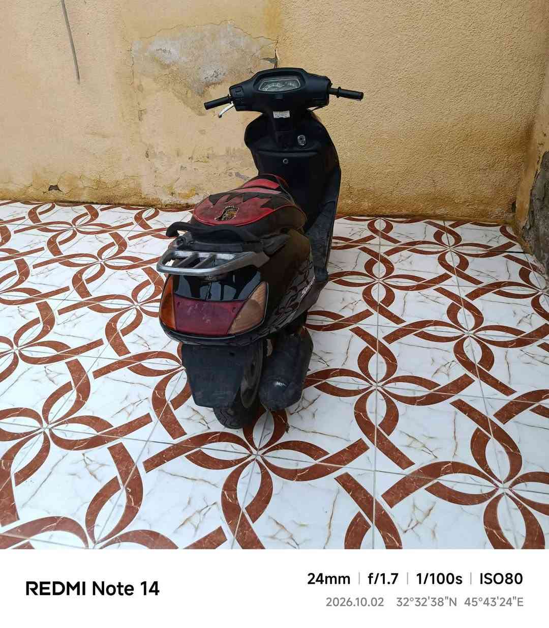 سبيسي • ياباني • الكوت