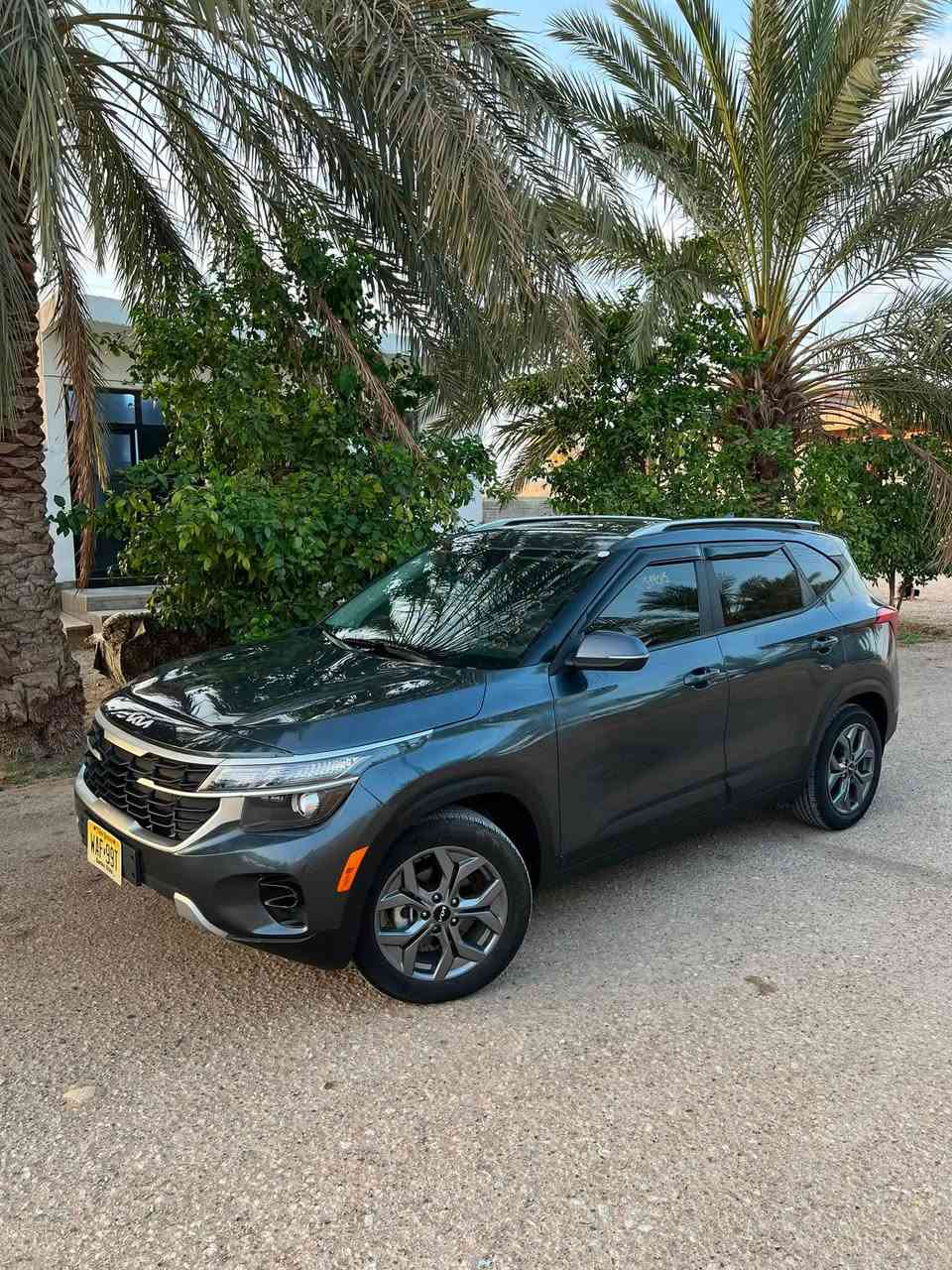 سيلتوس ٢٠٢٦ • فيراني • ماشية ٤٠٠٠