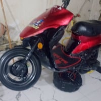ذبانه 9زروف • بدون اوراق • شغاله