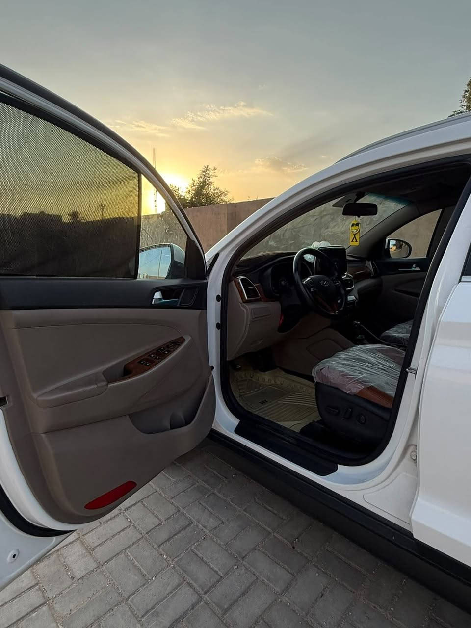 توسان • ٢٠١٩ • كشنات جلد