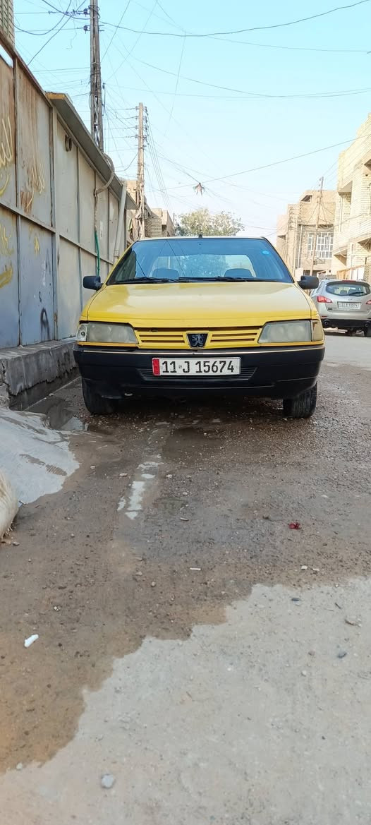بيجو روى • ٢٠٠٩ • رقم دولي ٢٠٢٩