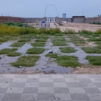 العزيزية • بيت سياحي • ١١٧م