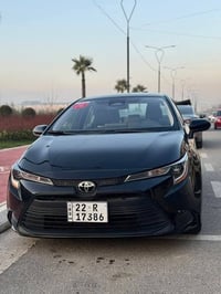 كورلا • ٢٠٢٣ • أربيل