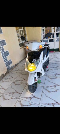 سكنس فحل كابريتر البيع مابيه نقص مشدو عليها صالصنه رياضي حلزوني