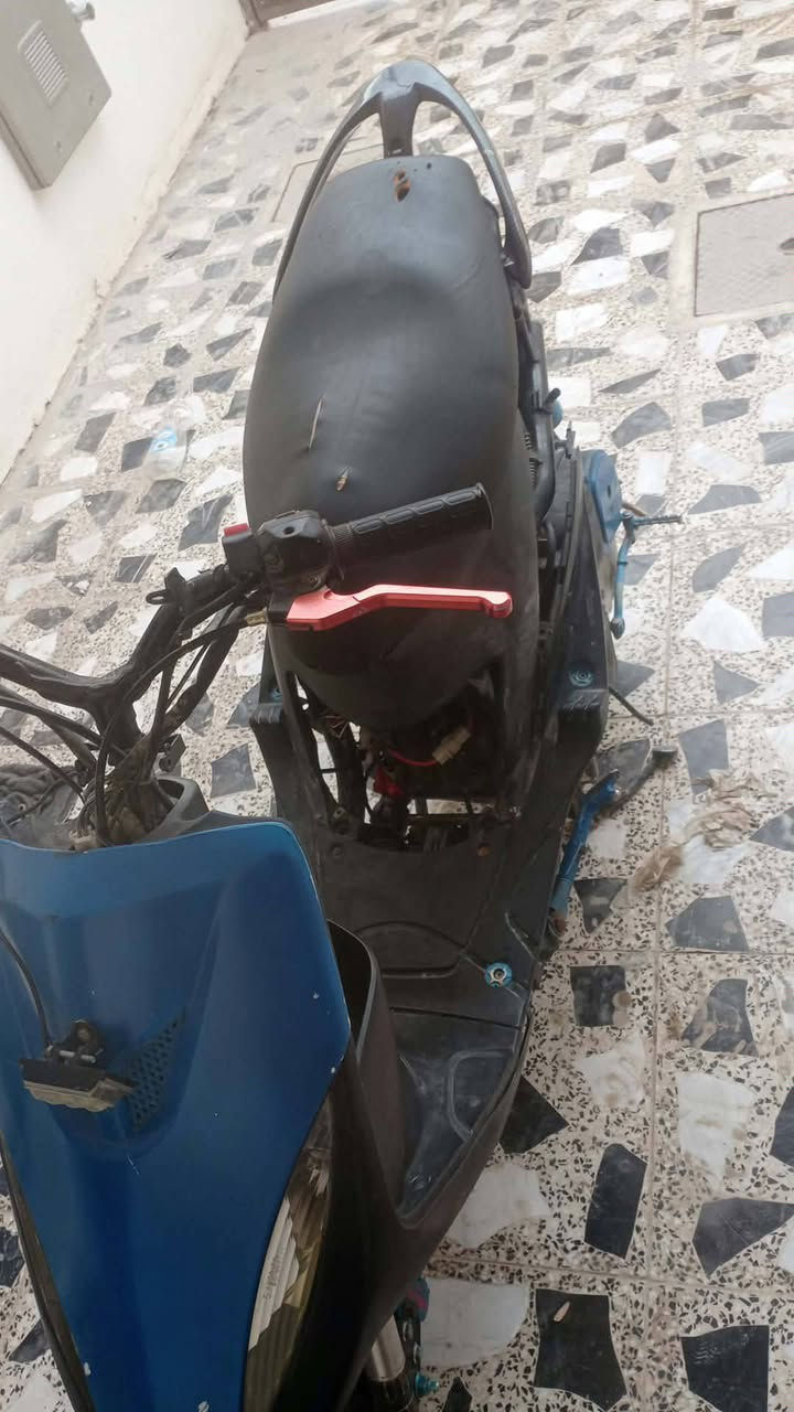 ماك منغولي • واتساب • شراي فقط