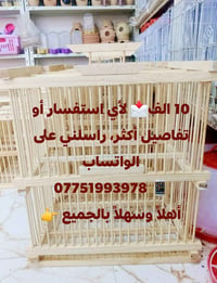 أقفاص بلابل • توصيل محافظات • متوفر