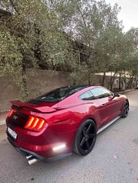 موستنك ايكو بوست • ٢٠١٨ • صور حادث