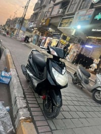 سكنس فحل • اوراق • كفاله