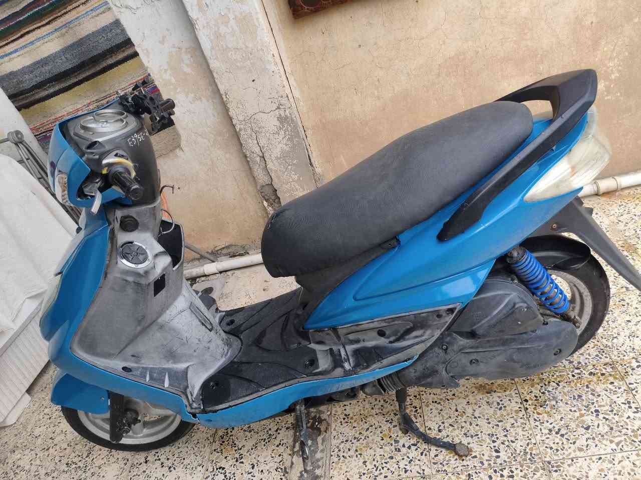 سكنس فحل • مكفوله • معدل