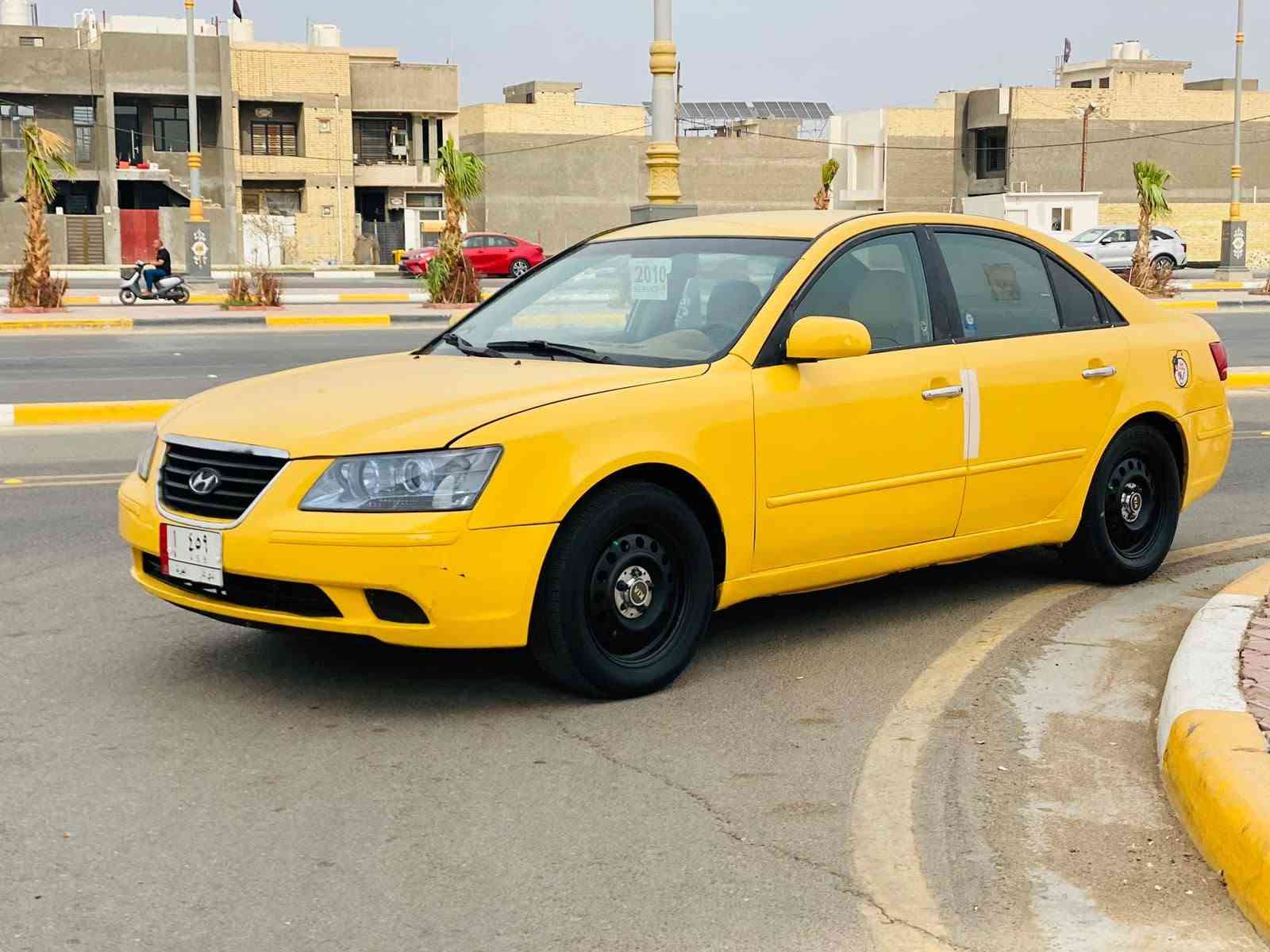 سوناته • ٢٠١٠ • وارد امريكي