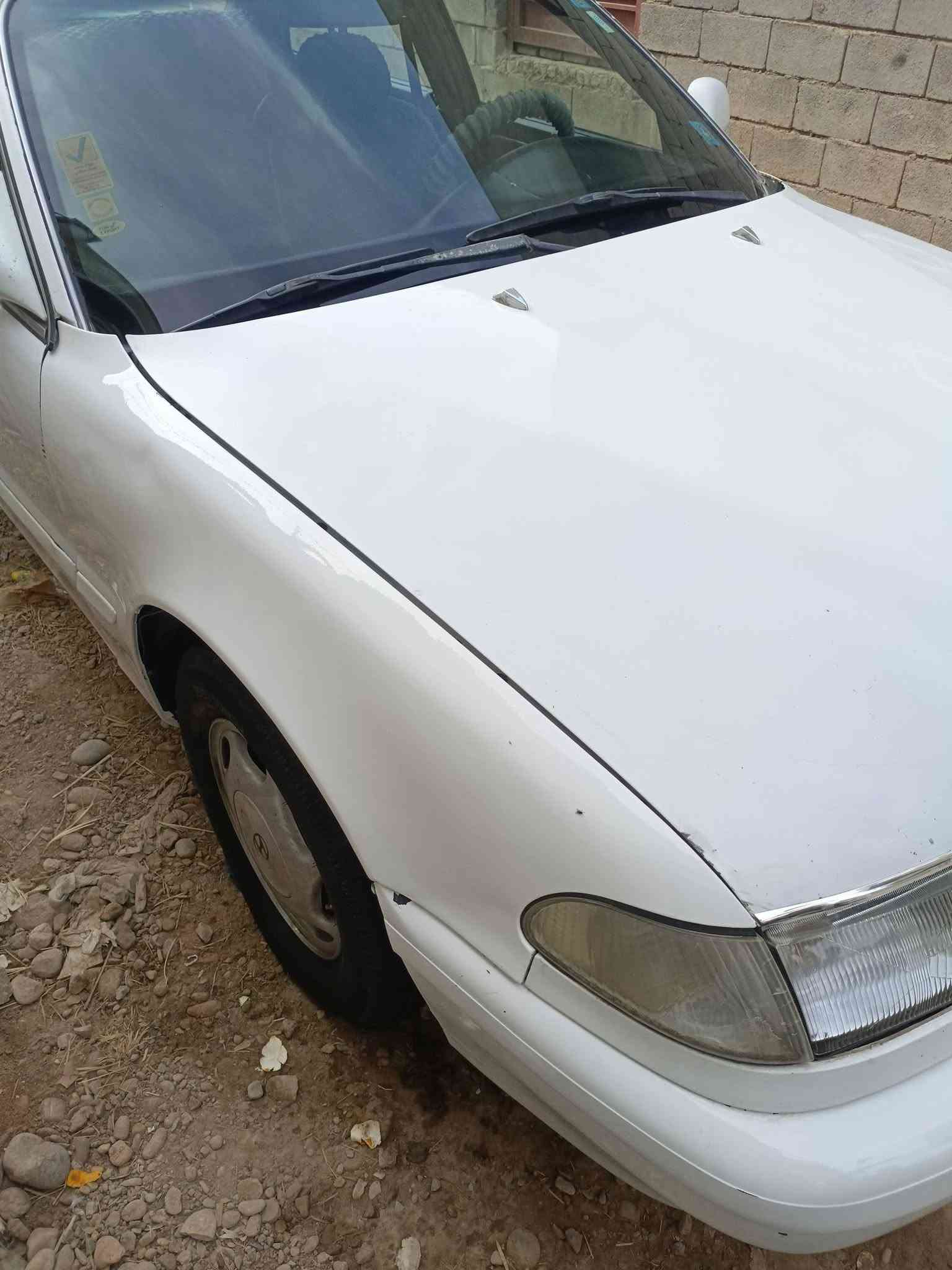 سوناتا • ٩٥ • بدون ضربه
