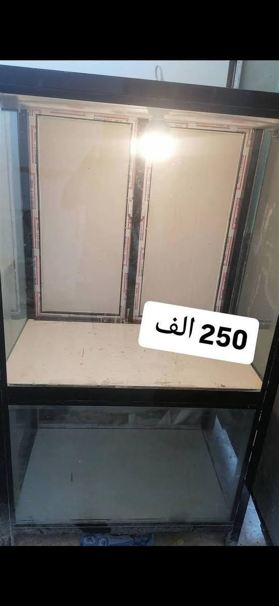 السلام عليكم أغراض ابيعو اتصل رقم على وتساب ***********

نص مكتوب في الصور:
- 250 الف
- 250 ألف