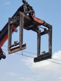 حاضن • أوربي