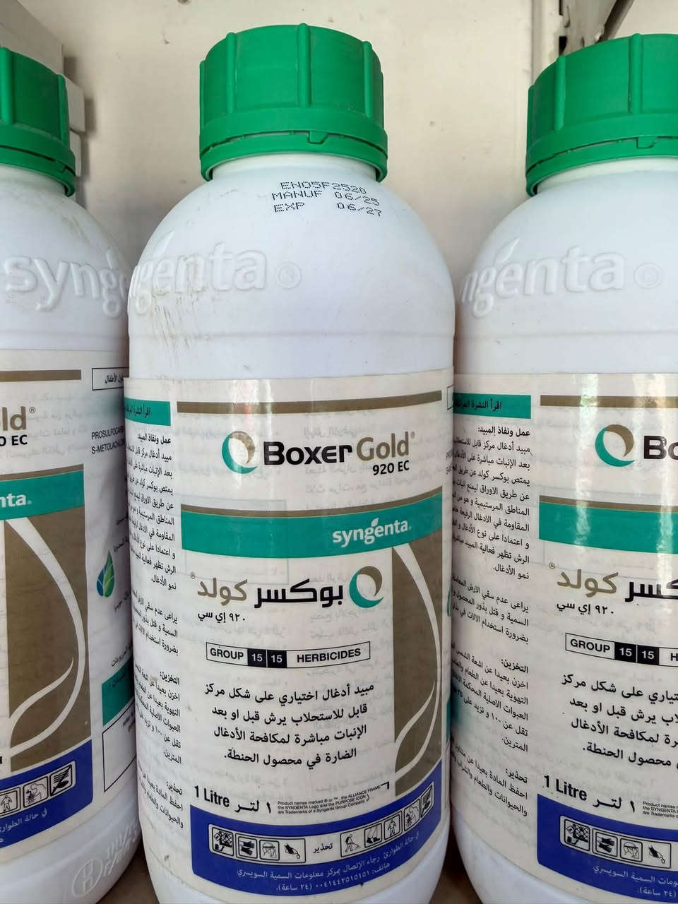 بذور حنطة • باير ألماني • أنواع متعددة
