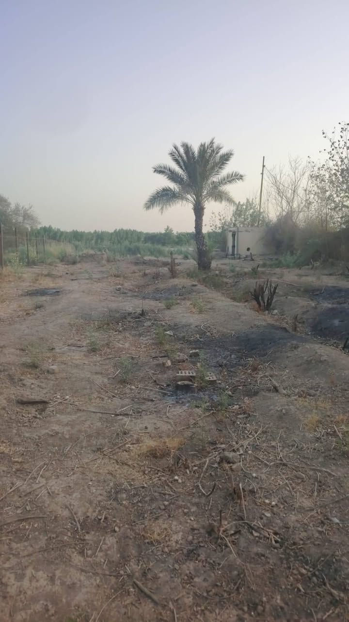 يا الله سلام عليكم يتوفر عندي دونم طابو ملك صرف عنوان لزعفرانيه عله فرع لنهر دجله خدمات كامله يصلح سكن يصلح مزرعه
