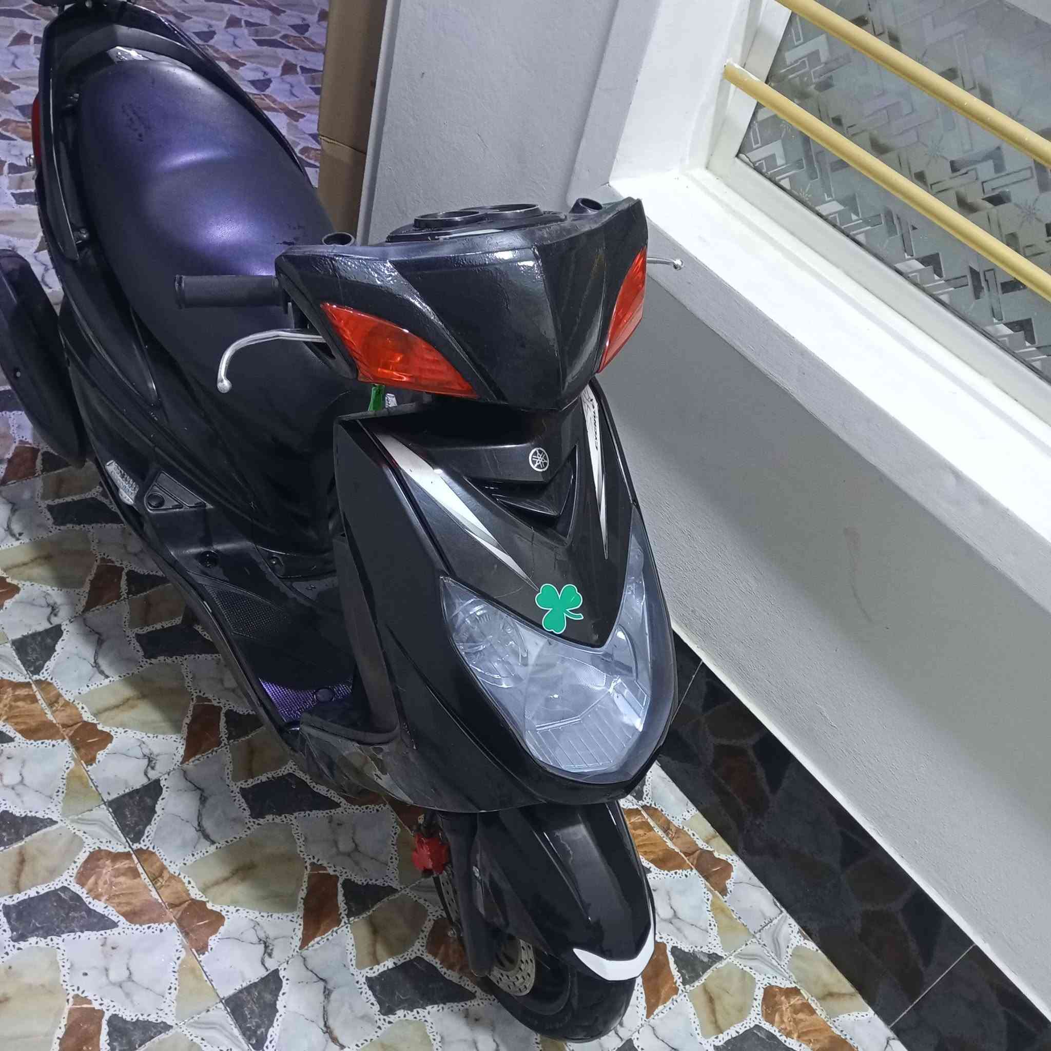 سكنس فحل • ياباني • مراوس