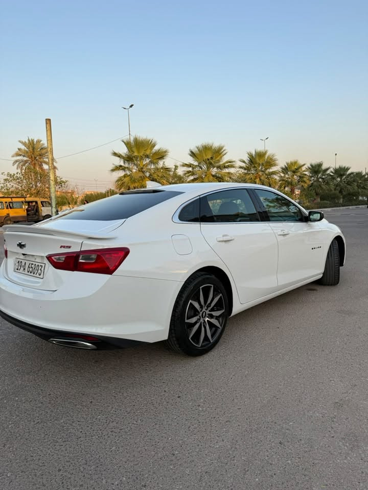 الي يدور نظيف هذا النظيف 
السلام عليكم 
ماليبو RS 2023
ماشيه 23 الف مايل 
رقم + مكان السياره كربلاء
حادثه سرقه قطعه وحده جاملغ ودعاميه ولايتات
معوقين كربلاء باقيله سنتين و تخلص وكاله عامه 
السياره ايرباك كله سليم و مبدل احزمه لون احمر رياضي
مخليله لايت ناصي + عالي اوزوم انارته تخبل 
السياره من استوردته لحد الان ما طاب بطنه قطره وحده بانزين عادي كله محسن ما سمعته ولا مره دكت دوانز و باشد الظروف التبريد ثلج و حماوه ٨٨ السياره ولا مره مشتغل بيه گلوب الجك انجن من جبته لسه
دهن كله امزويل ابو التوقيع اعلى فئه و كل ٥٠٠٠ ابدله مع فلتر دهن و فلتر شوته و فلتر تبريد و موجود بدفتر الصيانه كل التفاصيل 
السياره غرفته كلش نظيفه مثل ما موضح بالصوره 
السياره ترايه كلش حلوه و ناعمه وقويه 

اخوان بالنسبه للسعر اتصل و تعرف 
و لا تتوقع سعره مثل المهجوم الي بالسوك 
كلشي بسعره وكلشي موجود بالسوك 
***********
