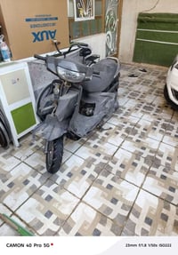 فراشه • هندر • كهربايات