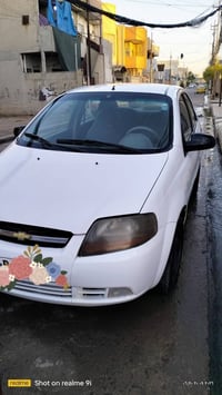 افيو • ابيض • رقم اربيل