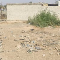 جامع اسكندر العطاوه • ٢٠٠م • سند ٢٥