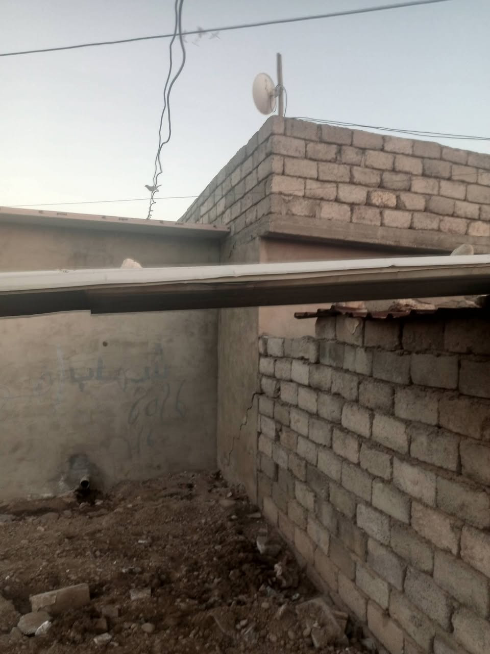 جينكو • طول ٦م • باب وشبكين