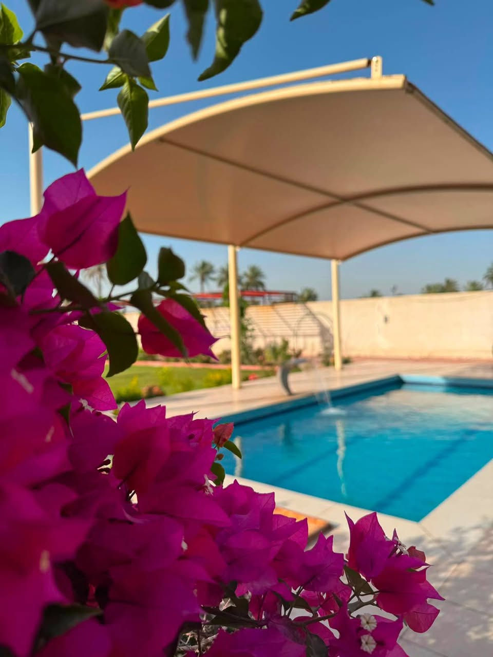 ✨تريد مكان راقي للراحة أو المناسبات؟

مزارع للإيجار اليومي بنظام الشفتات في:
📍 أبو غريب
📍 المدائن
📍 البوعيثة
📍 بلد 
 
✅ مساحات مختلفة
✅ أجواء هادئة ومناسبة للعوائل والجلسات
✅ حجوزات سهلة ومضمونة
 

احجز الآن عبر الواتساب📞
***********

الأوقات محدودة والحجوزات مستمرة ✨
