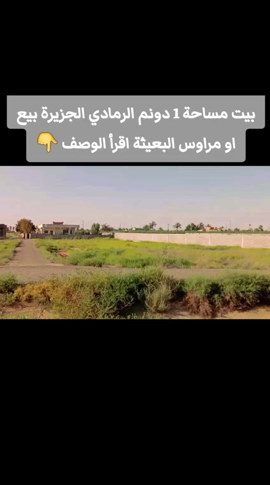 الرمادي البوعيثة • ١ دونم • طابو ملك/زراعي
